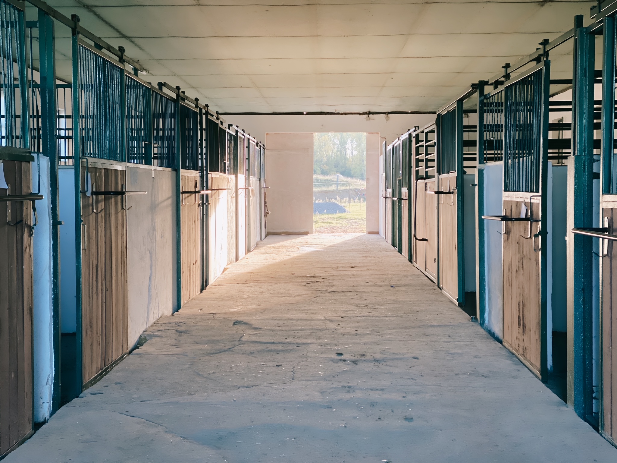 Reit und Pensionsstall Sternberger Burg Startseite